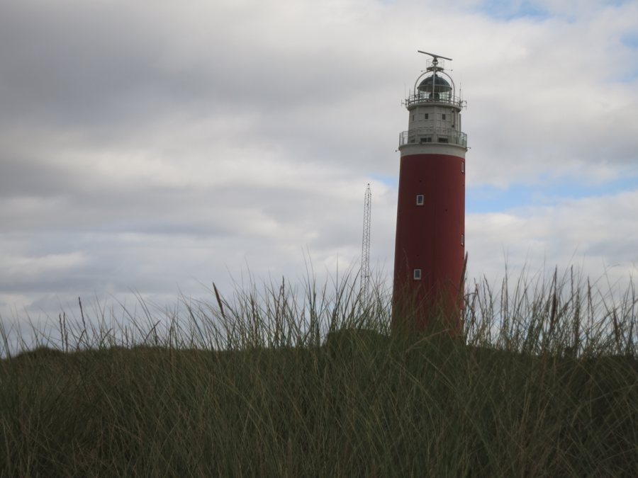 Faro Eierland tra l’erba delle dune a Texel