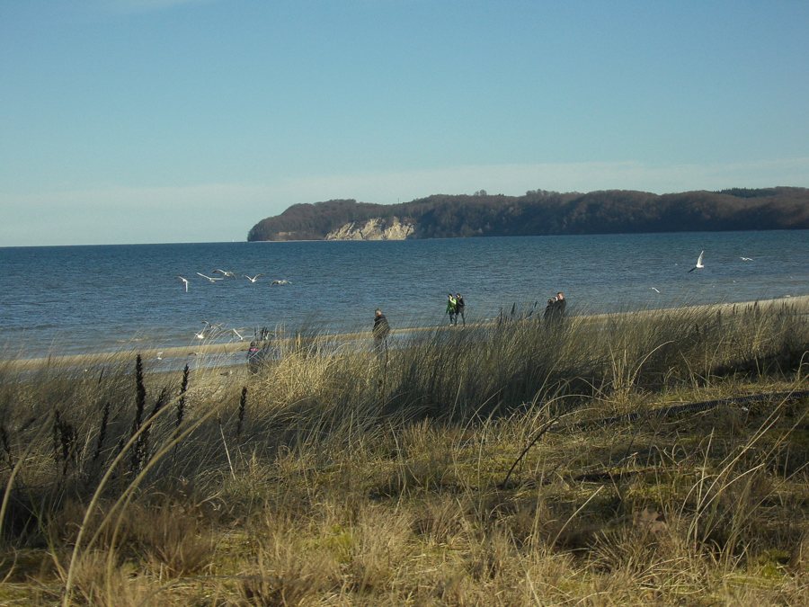 Spiaggia con dune, mare e persone a passeggio
